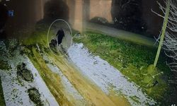 Diyarbakır’da kayıp, 2 çocuk annesinin son anları kamerada