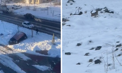 Diyarbakır’da sokak köpeği isyanı; Bir can kaybı mı bekleniyor?