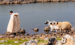 Diyarbakır’da besicilerin umudu yeniden yeşerdi: Karacadağ Krater Gölü doldu taştı