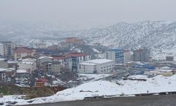 Diyarbakır Kulp’ta kar yağışı yeniden başladı