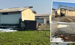 Diyarbakır Barış Mahallesi’nde 31 yıllık tehlike: Metruk ahırlar sağlığı tehdit ediyor