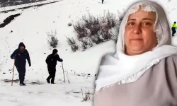 Diyarbakır’da kar ve yağışa rağmen arama sürüyor: Nimet Kılıç’tan hala iz yok