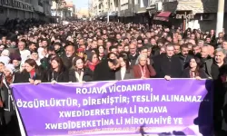 DEM Parti Nusaybin'de: Kamışlı sınırında yürüyüş başladı