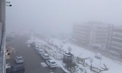 Diyarbakır Kulp’ta sis alarmı: Görüş mesafesi 20 metreye düştü