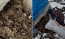 Yüzyıllardır aynı yöntem: Diyarbakır Karacadağ’da tezekle ısınma