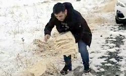 Diyarbakır'da yaban hayvanları yalnız değil