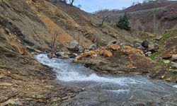 Diyarbakır’da 84 aşındaki Salih Ertaş 11 gündür kayıp