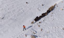 Besicilerin zorlu kış mesaisi