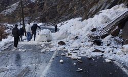 Şırnak’ta düşen çığ yolu kapattı