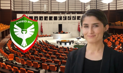 Amedspor’a kesilen cezalar meclis gündeminde