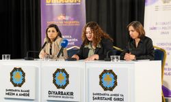 Diyarbakır’da kadına yönelik şiddet raporu açıklandı