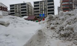 Bitlis'te kar etkisini sürdürüyor