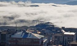 Diyarbakır Kulp'ta yoğun sis etkili oldu