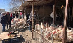 Diyarbakır’daki Kümes hayvan pazarında satışlar arttı ama alım gücü zayıf!