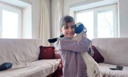 Yeni doğan kuzular vede biberonla besleniyor