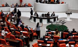 DEM Partili Vekillerden ‘Zazaca’ hamlesi: Yok olma riski meclis gündeminde