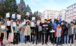 Diyarbakır'da onbinlerin katıldığı Siyer yarışması