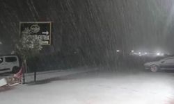 Diyarbakır Silvan beyaza büründü