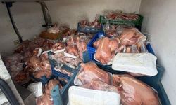 Van'da kaçak tavuklara el konuldu