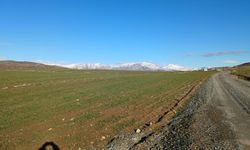 Diyarbakır’da toprak suya doydu: Çiftçi bereketli hasat bekliyor