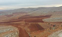 Nadasa bırakılan tarlalar artık boş kalmayacak! Hibe desteği başladı