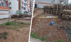 Diyarbakır’da bir siteyi fareler bastı, vatandaşlar isyan etti