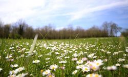 Cemre takvimi tamamlandı: Son cemre toprakla buluştu