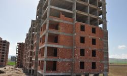 Ekim alanları betonlaştı, gıda fiyatları artıyor