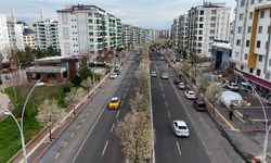 Diyarbakır’da bulvarlar süs armutlarıyla görsel şölen sunuyor