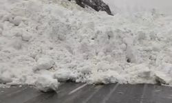 Kara yoluna düşen çığ sürücüleri yolda bıraktı