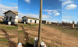 Direğin içinden kaçak hat! 20 metrelik gizli düzenek şaşkına çevirdi