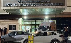 Diyarbakır’da kan donduran olay! Eşini başka erkekle yakaladı, kurşun yağdırdı