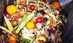 Üretilen gıdanın üçte biri çöpe gidiyor