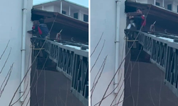 Diyarbakır’da ipte asılı kalan güvercin için nefes kesen kurtarma!