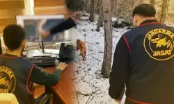 Bir izmarit, bin yalanı çürüttü: Diyarbakır’daki cinayet aydınlatıldı