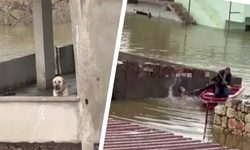 Diyarbakır’da selde mahsur kalan can dost için seferber oldular