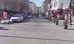 Diyarbakır Suriçi’nde Otopark Krizi: 10 Dakika için 200 TL istendi