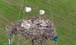 Diyarbakır semalarında heyecanlandıran görüntü!