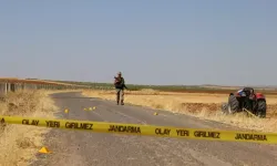 Diyarbakır Lice’de gizemli kemikler: 30 yıllık sır perdesi aralanıyor mu?