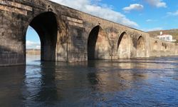 Yağışlar Diyarbakır’ı bereketle doldurdu: Rekoltede yüzde 50 artış bekleniyor