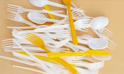 Plastik çatal, tabak ve pipetlere veda: Yeni yasak yolda