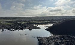 Diyarbakır'da gölet patladı, ekinler sular altında kaldı!