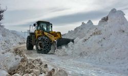 Doğu’da 279 yerleşim yerinin yolu kapalı