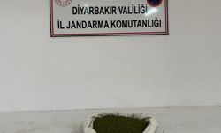 Diyarbakır’da uyuşturucu operasyonu: Kilolara  esrar ele geçirildi