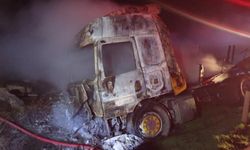 Mandalina yüklü tır küle döndü