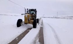 Kar yağışı Van’ı esir aldı