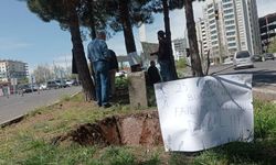 Diyarbakır Büyükşehir’den ‘ağaç kesimi’ tartışmalarına yanıt