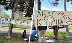 Diyarbakır’da ağaç sökümüne tepki