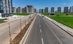 Diyarbakır’da 5 bin ağaç toprakla buluştu