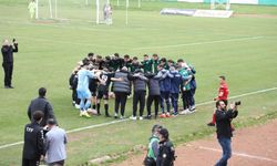 12 Bingölspor 2. Lig'e yükseldi